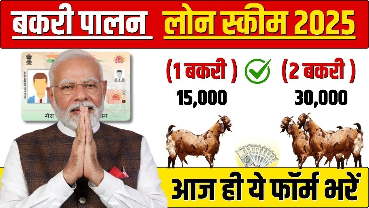 Bakri Palan Business Loan 2025: अब गांव के लोग भी उठा सकते हैं बकरी पालन के लिए लाखों का लोन!